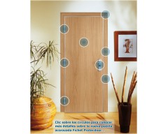 Puerta Acorazada PISO FICHET PROTECDOOR